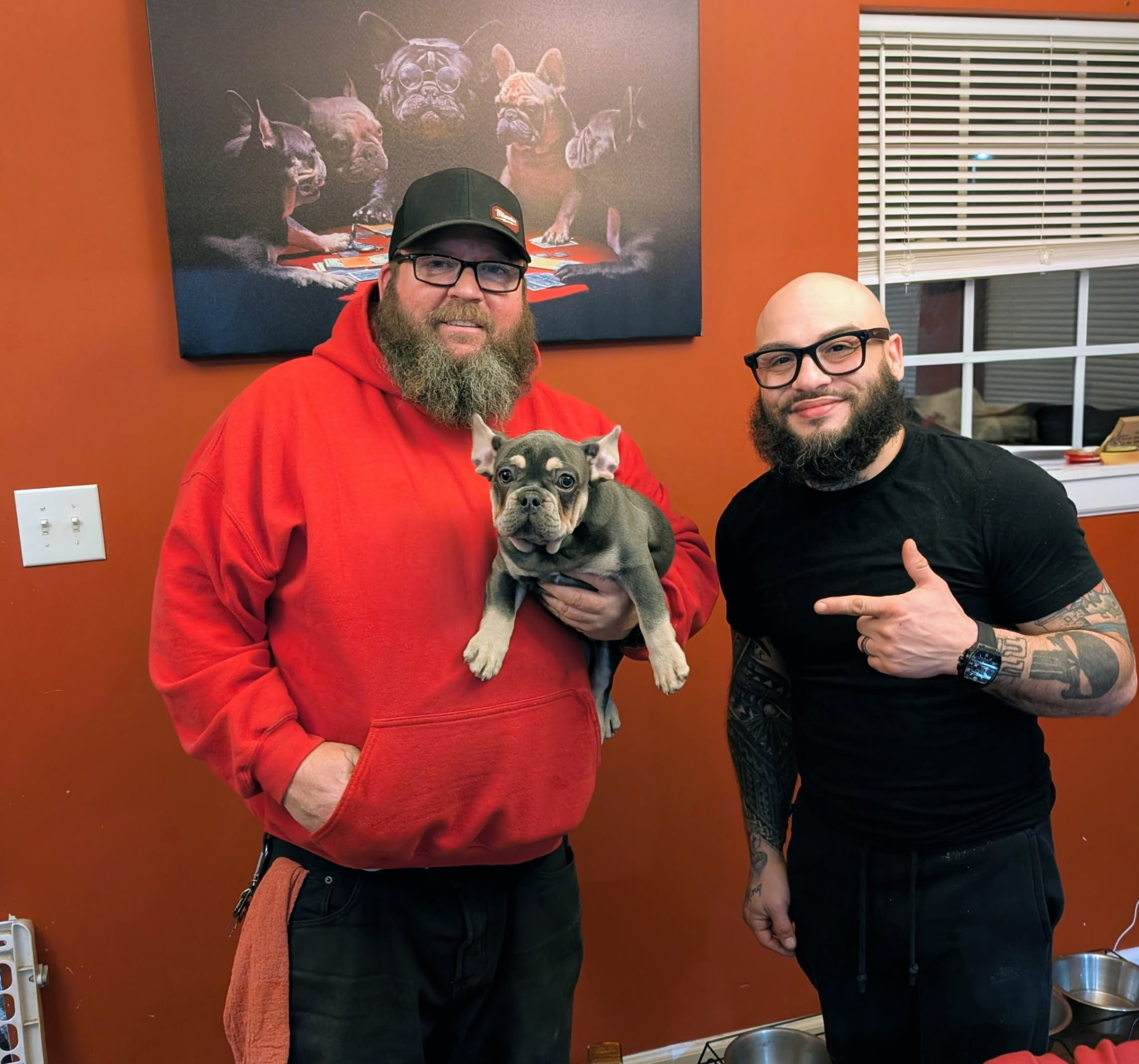 New puppy owner with his blue French Bulldog