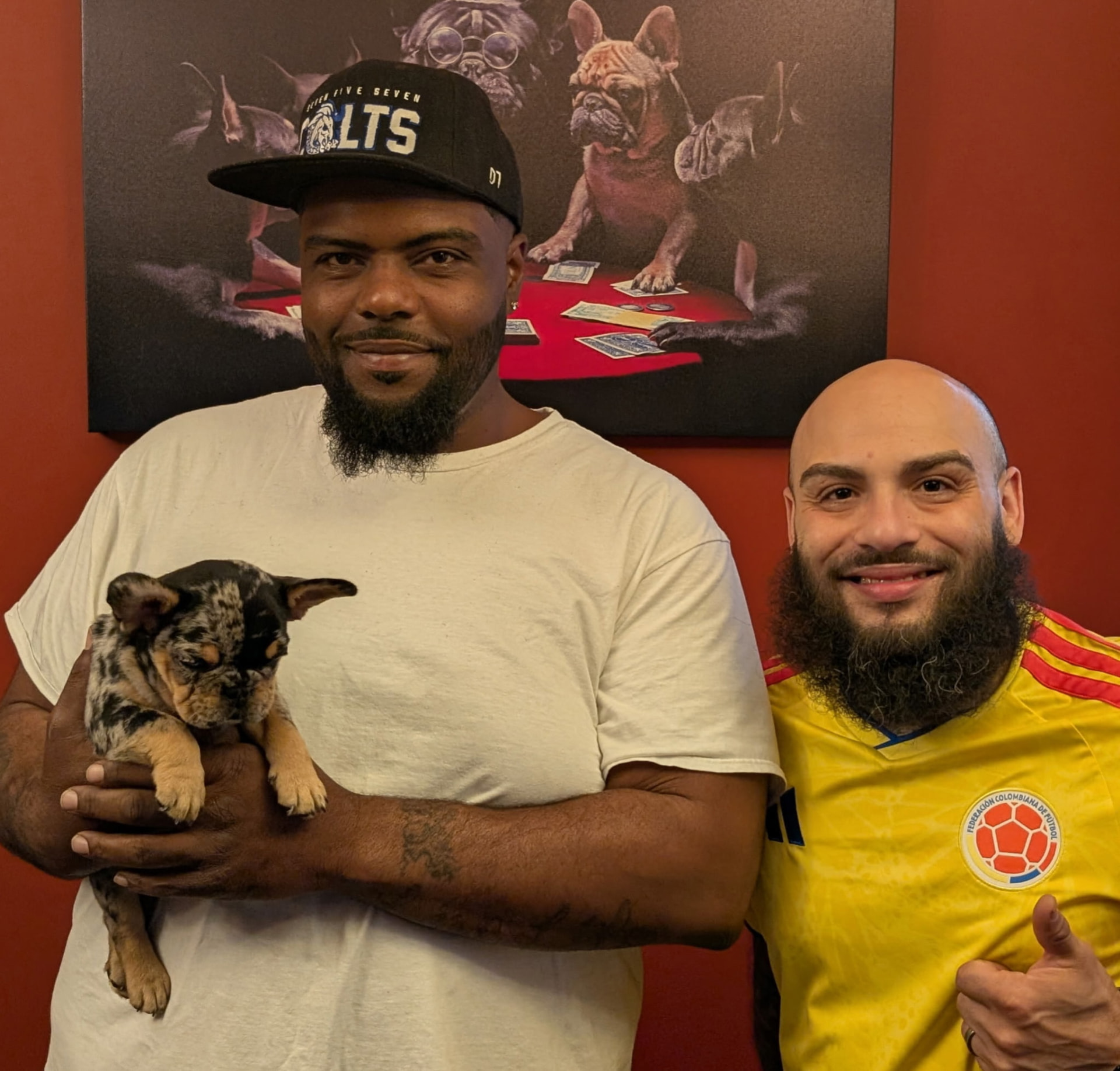 Customer pickup day with a merle French Bulldog puppy